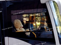 Плюшевый «второй пилот» маршрутки замечен в Воронеже