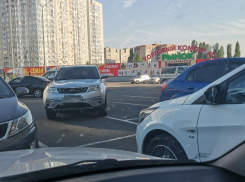 Парковку свободного человека наглядно показали у ТЦ в Воронеже