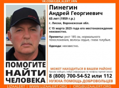 65-летний мужчина пропал без вести в Воронежской области
