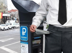 Госдума приговорила воронежцев к штрафам за парковку