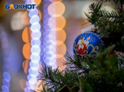 Воронежцы рассказали, сбылись ли их желания, загаданные на прошлый Новый год