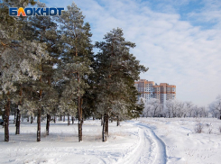 17-градусные морозы накроют Воронежскую область