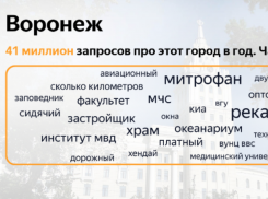 Стало известно, что чаще всего про Воронеж ищут в Яндексе