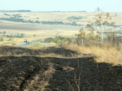 В Воронежской области сохраняется высокая пожароопасность