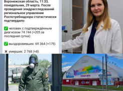 Коронавирус в Воронеже 29 марта: +205 заболевших, уникальный препарат и разорение известного катка  