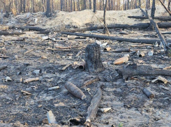 Неразорвавшиеся снаряды пытаются сдать на металлолом в Воронежской области