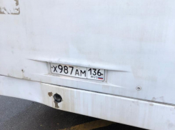 Жительница Воронежа заявила, что ей нахамил маршрутчик с номерами ХАМ