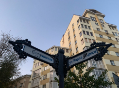 Мерзопакостное хулиганство обезобразило уличный элемент Воронежа