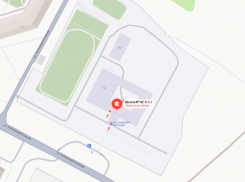  Бастрыкину стало известно об ужасной дороге у школы в Советском районе Воронежа