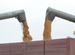 Взрывные новости: Воронеж накормил горохом Данию и Италию  