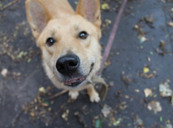 Фонду «Право на Жизнь» требуются вещи и средства гигиены