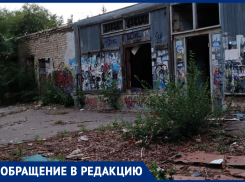 «Вонь, бомжатник, трупы, криминал»: о жутком месте спального района рассказали воронежцы 