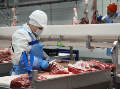 Как же похорошела зарплата обвальщика мяса при «Заречном» мясокомбинате в Воронеже 