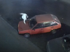 Словно лань: мужчина пробежался по двум авто и попал на видео в центре Воронежа 