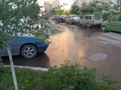 Во дворе на улице Шишкова в Воронеже забил родник