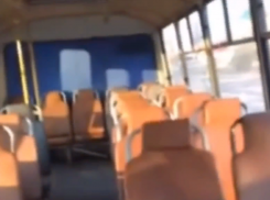 Водитель маршрутки заявил о последствиях самоизоляции забавным роликом в Воронеже 