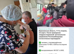 Коронавирус в Воронеже 23 марта: +209 зараженных, 20 смертей и актуальное число привитых 
