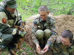 Останки воронежского фронтовика с медалью «За отвагу» нашли в Калининградской области