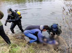 Труп мужчины нашли в Усманке под Воронежем