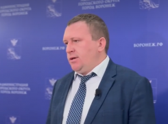 Чиновник воронежской мэрии высказался о трагическом ДТП с гибелью подростка и падением дорожного знака 