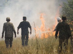 Сжигавшие траву у дома россошанцы спровоцировали возгорание сухостоя и камыша