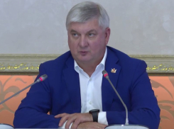 Участники СВО могут пополнить депутатский корпус в Воронежской области