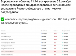 Коронавирус в Воронеже 5 декабря: 735 заболевших, 3 076 вакцинированных и 7 место в таблице регионов