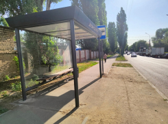 Никто из перевозчиков не захотел обслуживать маршрут через улицу 45 Стрелковой дивизии в Воронеже