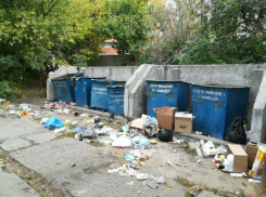 Мусорка вынудила жительницу Воронежа везти отходы на другой конец города