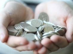 Власти определили прожиточный минимум в Воронежской области