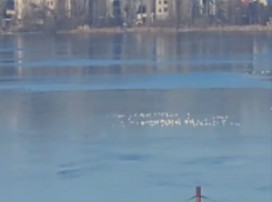 «Утки погибают»: воронежцы бьют тревогу из-за птиц, которые не успели улететь