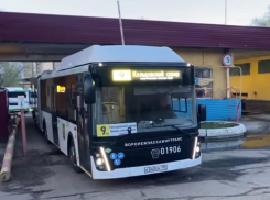 Новенькие автобусы-«гармошки» выпустили на линию в Воронеже