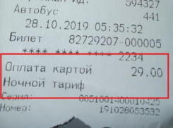 29 рублей вместо 21 берут в первый день повышения проезда в Воронеже