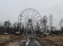 Опубликовано фото колеса обозрения за 28 млн рублей в воронежском селе
