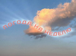 Сентябрьское лето: как погода порадует воронежцев на предстоящей неделе
