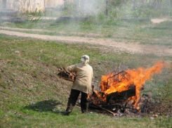 В Центральном районе Воронежа обсудили выжигание сухой травы