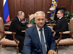 Бывший кандидат в мэры Воронежа Витиник просил “Владимира Владимировича” устроить его в Минстрой РФ