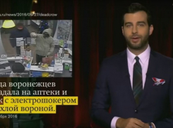 Юморист Иван Ургант высмеял воронежских грабителей с дохлой вороной