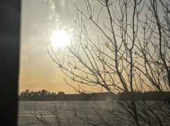 Пальто или пуховик: воронежцы гадают, а погода уже все решила