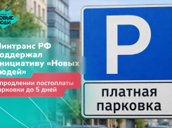 Минтранс поддержал идею воронежского отделения «Новых людей» о продлении срока оплаты парковок