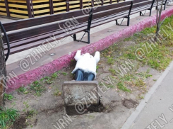 Неизвестный жестко обезглавил «повара» в воронежском микрорайоне 