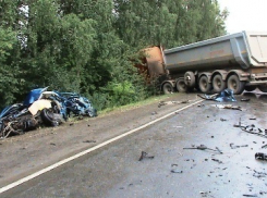 Под Воронежем водитель тягача устроил ДТП, в котором погибли граждане Украины 