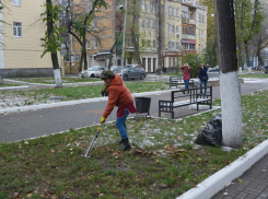 Экологи отметили, что в Воронежской области организовали самый массовый субботник в России