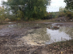 Загрязняющие вредоносные вещества, сбрасываемые «ЭкоЛайнером», подтвердили лабораторно в Воронеже