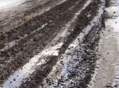 Самые отчаянные плывут на лодке: 700 воронежцев оказались изолированы от цивилизации