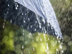 Воронежцев на следующей неделе ждут небольшие дожди и ветра