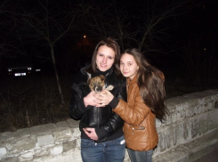 Воронежские школьницы приютили бездомного щенка: остальные собаки вскоре пропали