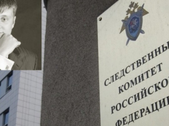 В Следственный комитет поступило заявление о привлечении к уголовной ответственности и.о. руководителя воронежского УФАС  