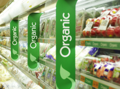 В Воронеже может появиться немецкий магазин органических продуктов
