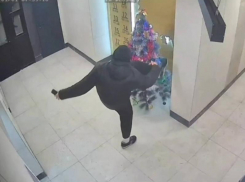 Хейтер нового года попал на камеры видеонаблюдения в Воронеже